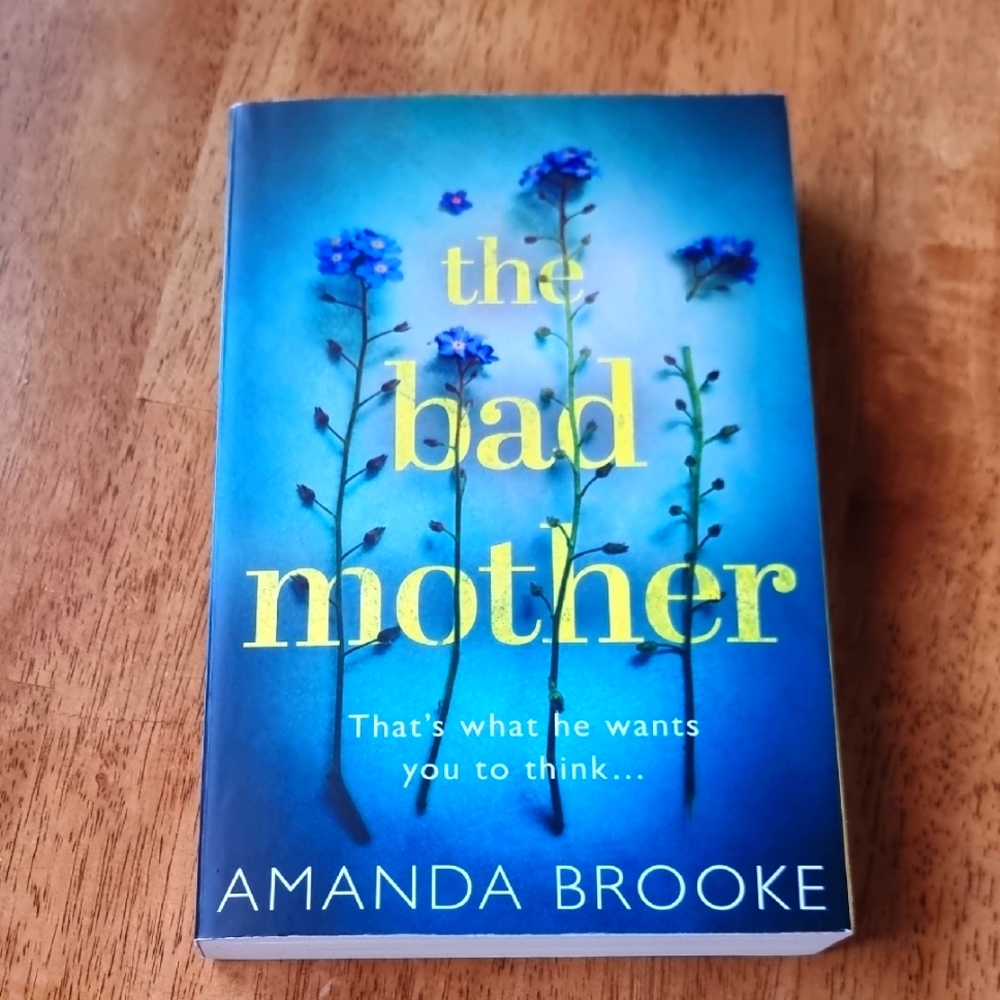 The Bad Mother Softcover Book by Amanda Brooke